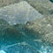 Sand Dollar Charm Toggle Necklace