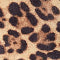Seychelles Adapt Sandals
