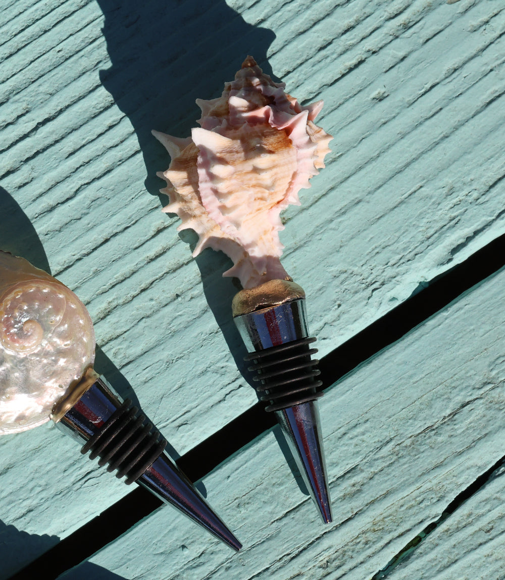 Natural Shell Wine Stopper