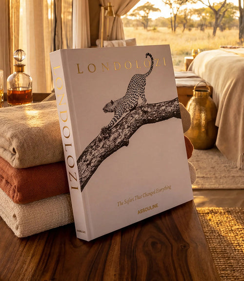 Londolozi: The Safari That Changed Everything