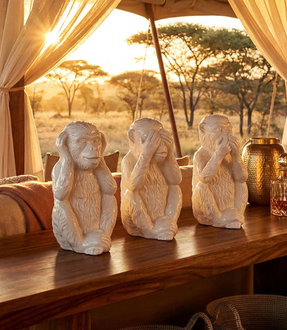 Hear No Evil, See No Evil, Speak No Evil Monkeys