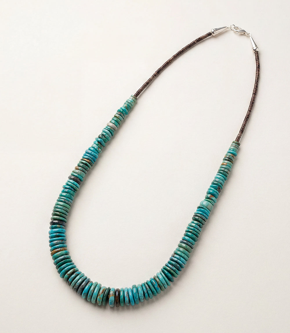 Single Strand Graduated Turquoise Necklace