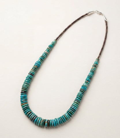 Single Strand Graduated Turquoise Necklace