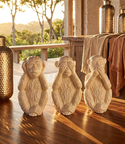 Hear No Evil, See No Evil, Speak No Evil Monkeys