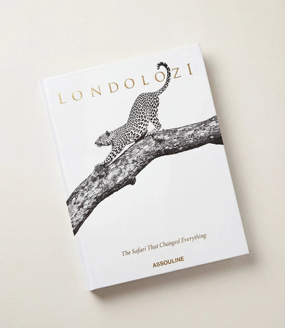 Londolozi: The Safari That Changed Everything