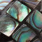 Abalone Stone Earrings