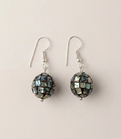 Abalone Stone Earrings