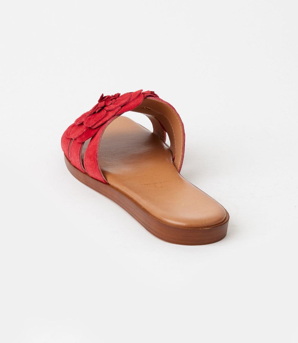 Seychelles Morning Dew Floral Slide Sandals