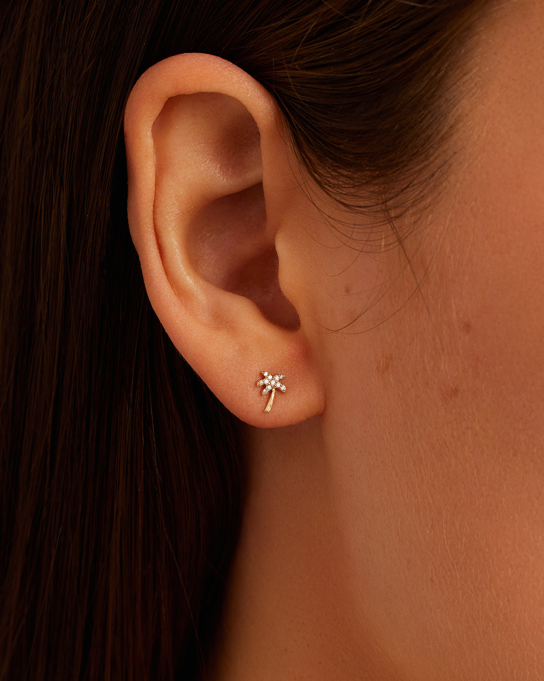 14K Diamond Palm Studs