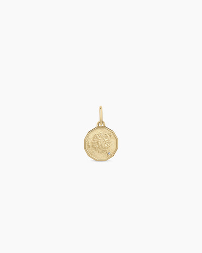 14K Diamond Zodiac Coin Charm