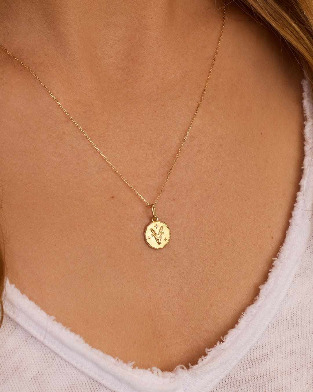 14K Diamond Zodiac Coin Charm Necklace