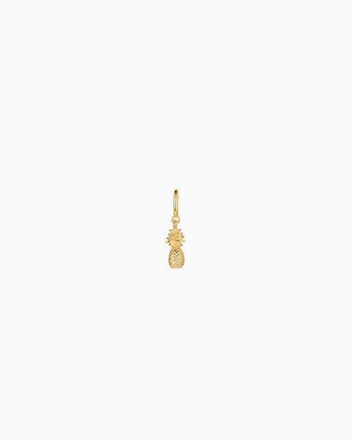 Pineapple Parker Charm