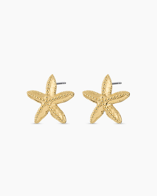 Starfish Statement Earrings