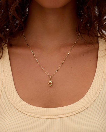 Dolphin Parker Charm