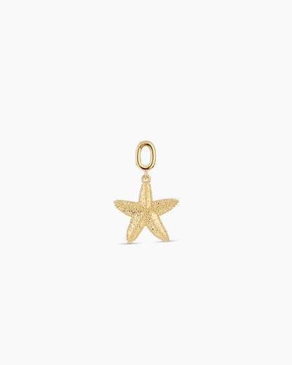 Starfish Statement Parker Charm
