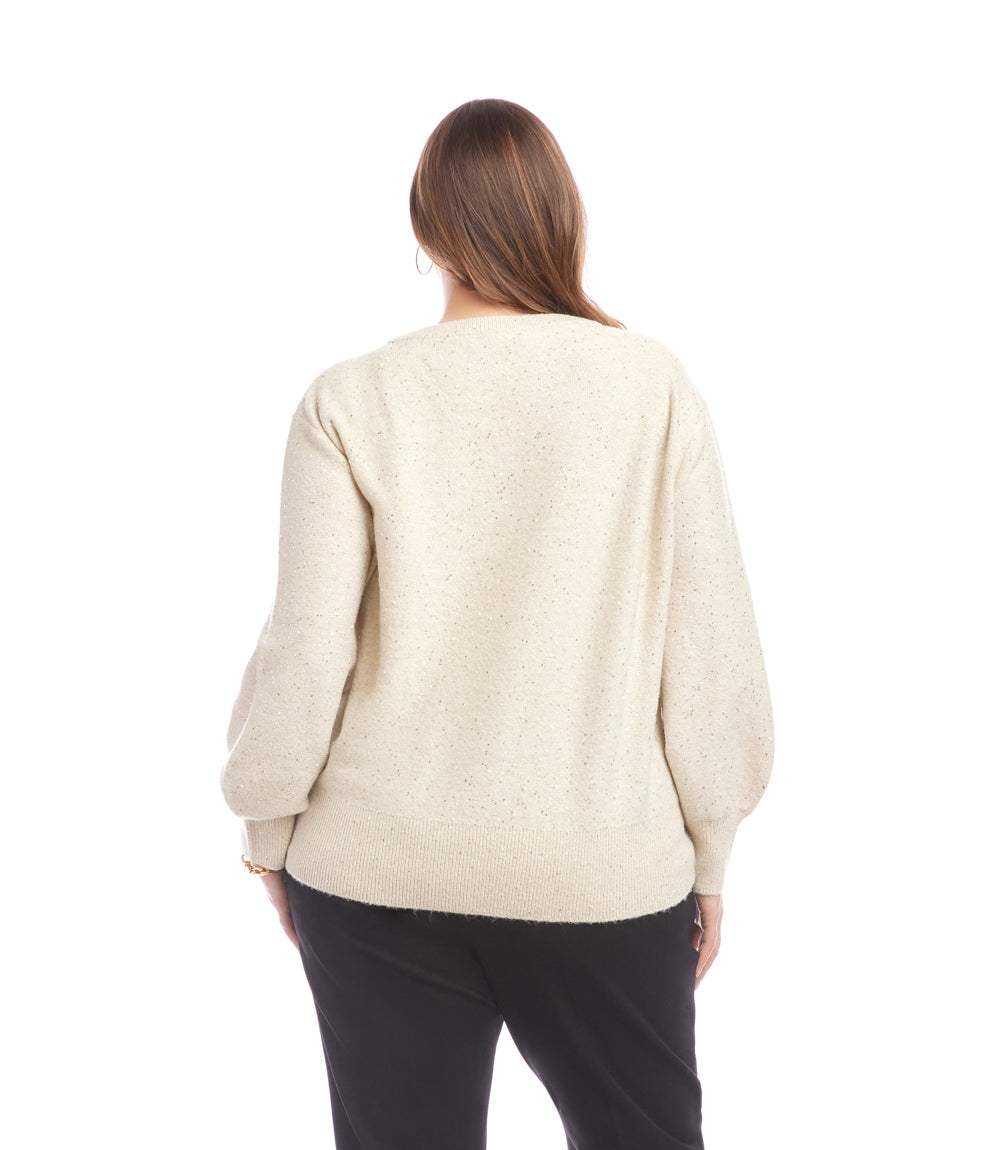 Plus Size Sequin V-Neck Sweater
