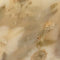 Pressed Flower Hurricane Candle