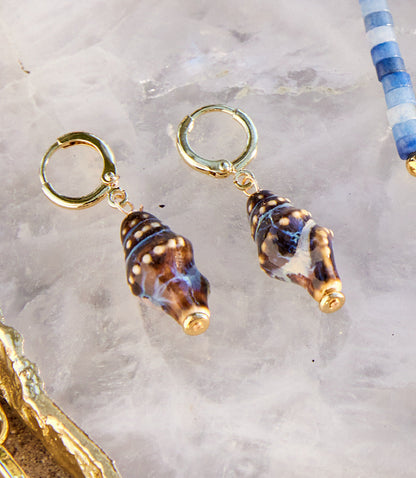 Shell Huggie Earrings