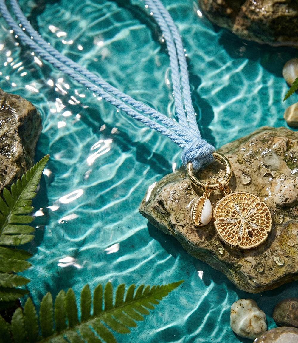 Cowrie Shell And Sand Dollar Cord Necklace