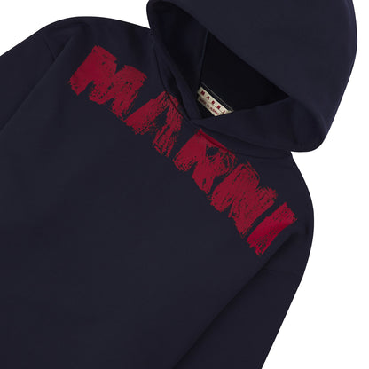 Paintbrush Hoodie