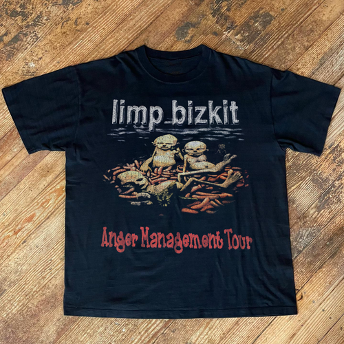 Limp Bizkit - Anger Management Tour