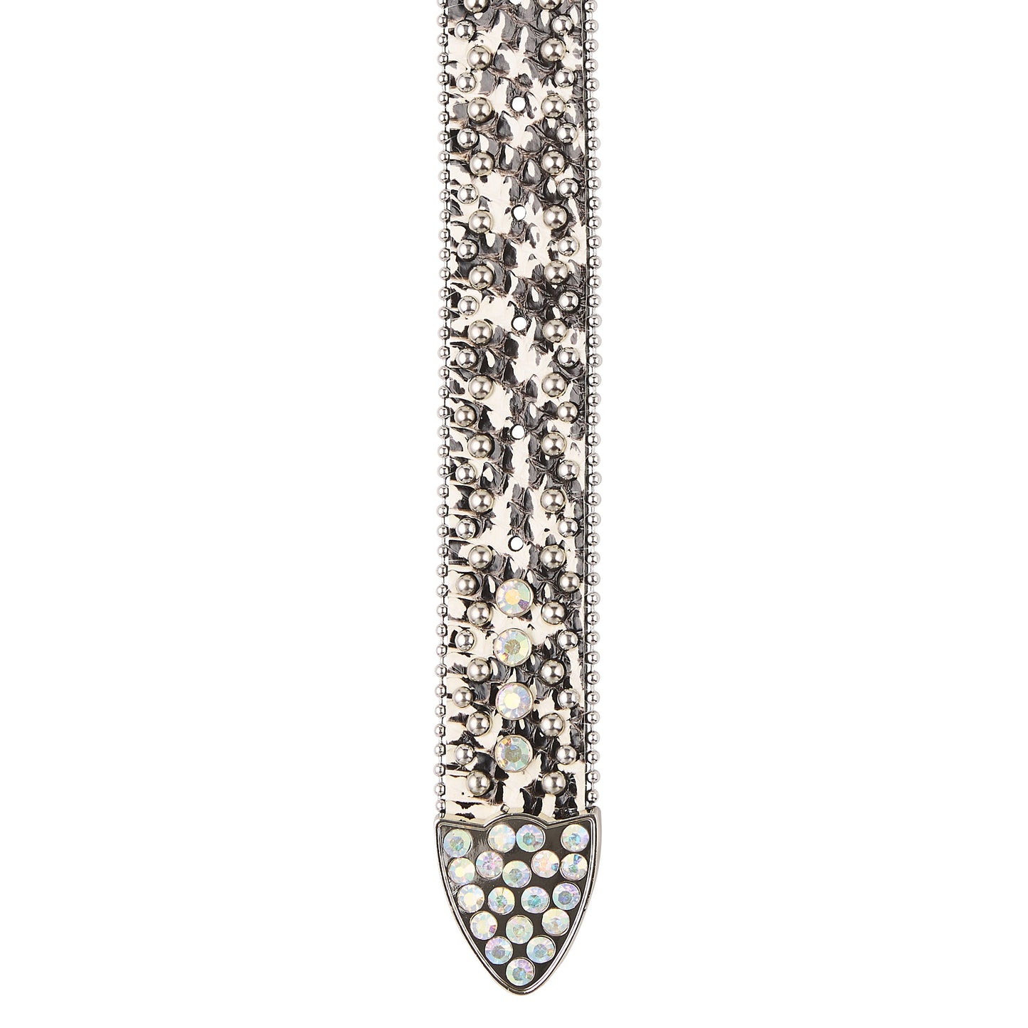 Jason Belt | Silver