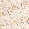 Seychelles Adapt Raffia Heel Sandals