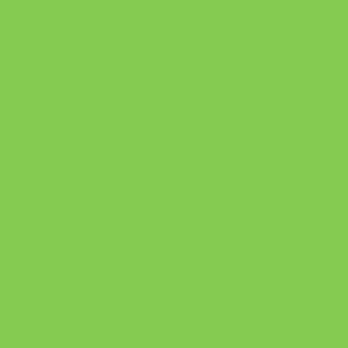 12" Green Apple - EasyWeed EcoStretch HTV