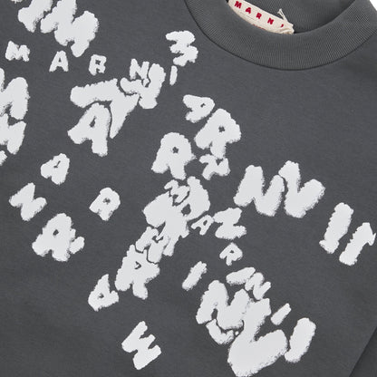Chaos Logo Sweatshirt | Neutral Grey