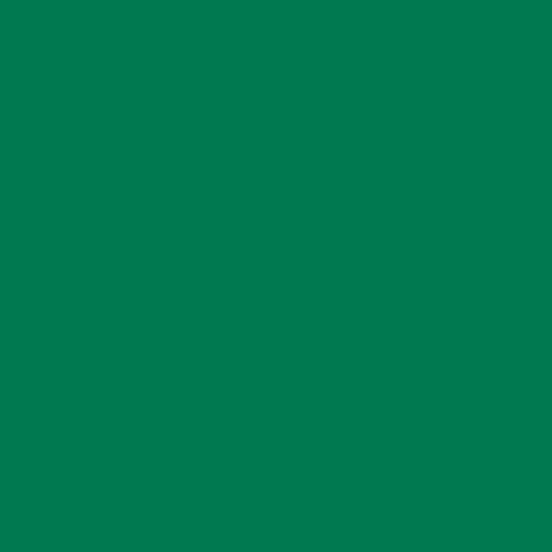 12" Green - EasyWeed EcoStretch HTV