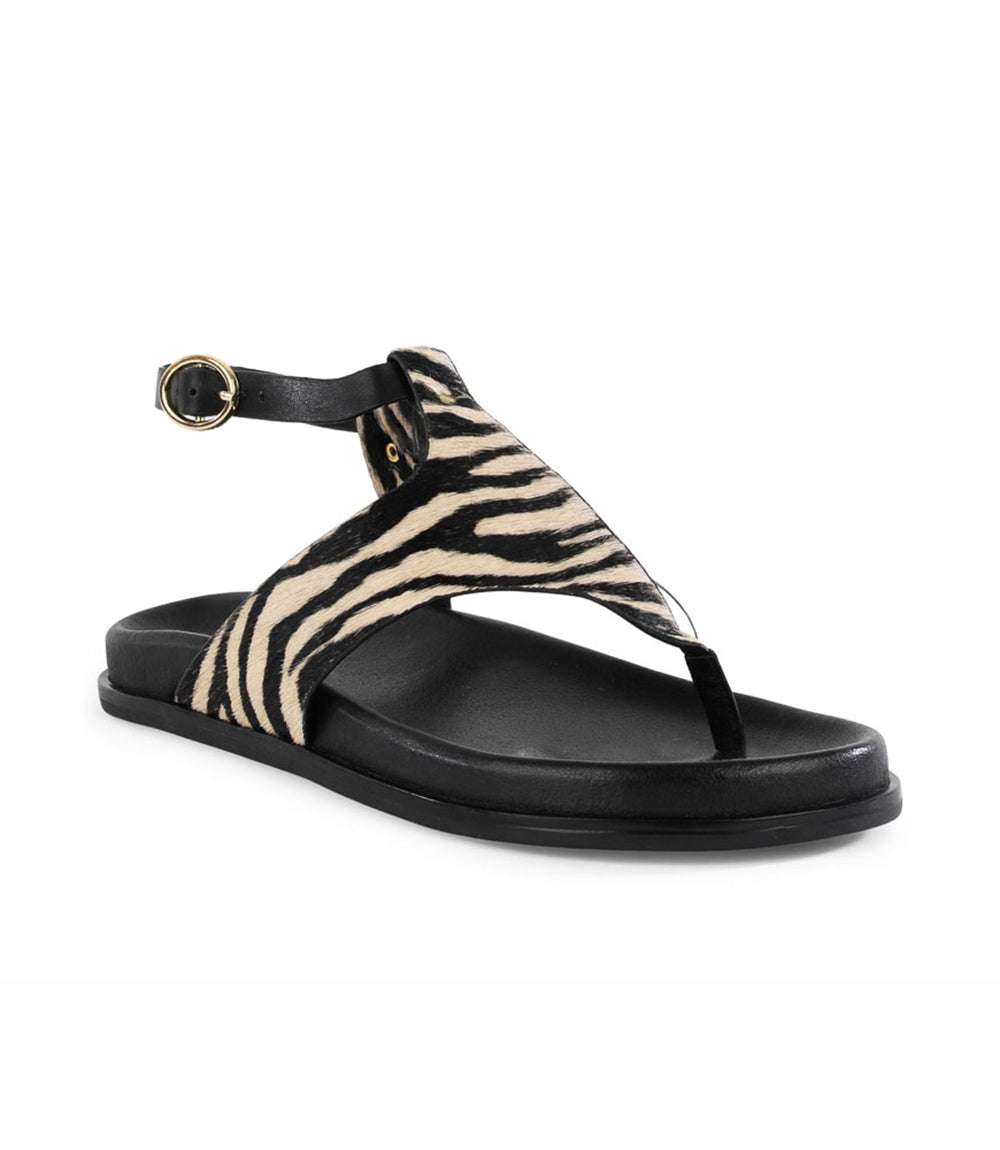 Seychelles In The Zone Gladiator Sandals