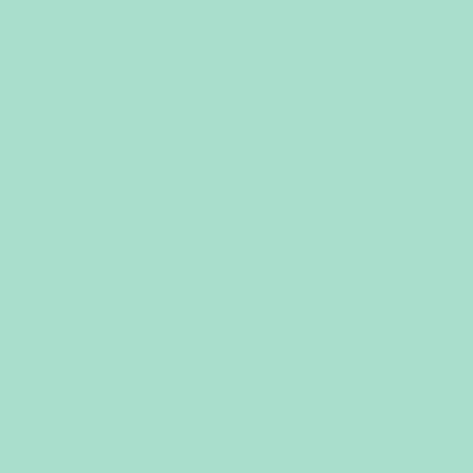 12" Sweet Mint - EasyWeed EcoStretch HTV